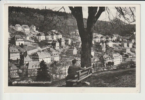 Waldshut hochrhein - am,